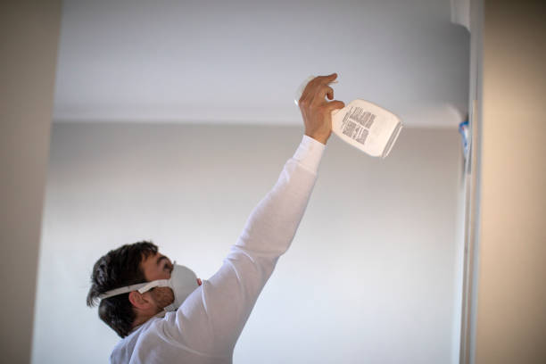 Best Office Mold Removal Services  in Schnecksville, PA
