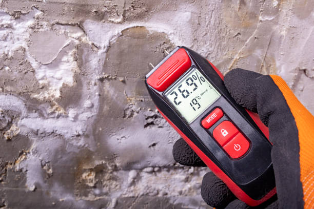 Best Attic Mold Removal  in Schnecksville, PA