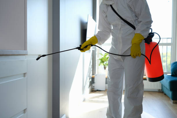 Best Toxic Mold Removal  in Schnecksville, PA