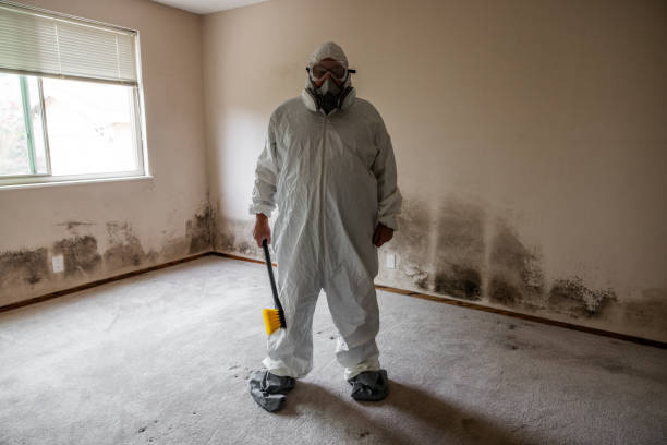 Best Toxic Mold Removal  in Schnecksville, PA